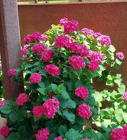 Stavros House Διαμέρισμα Σάρτη