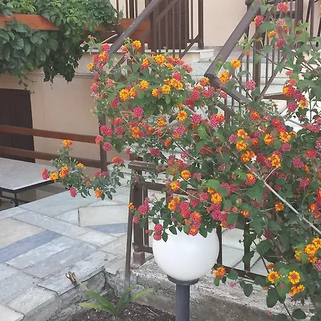 Stavros House Apartman Szárti